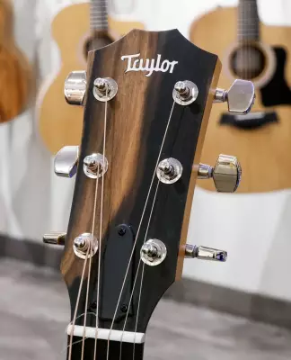 Taylor Guitars - 214CE PLUS 2